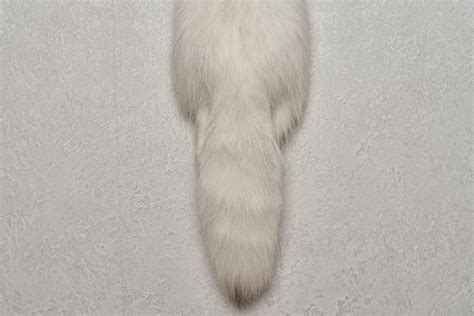 Arctic Fox Tanned Fur Pelt White Fox Snow Fox Skin Hide For Sale