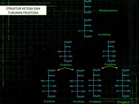 Biokimia Karbohidrat Ppt