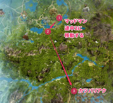 【黒い砂漠】フィールドボスが連続出現するように。順番や場所は？ おっさんゲーマーどっとねっと