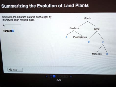 SOLVED: Summarizing the Evolution of Land Plants Complete the diagram ...