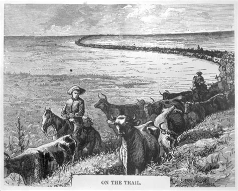 The Kansas Cattle Trade Kansas State History