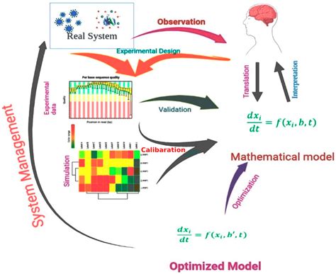 Mathematical Modeling And Computational Tools In Drug Design