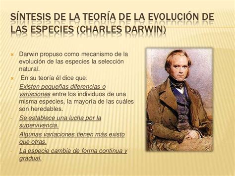 La Evolución De Las Especies De Darwin A Zulueta