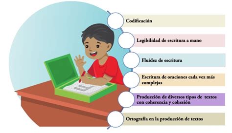 Componentes De La Escritura Seg N Las Etapas Y El Continuo Del Hot