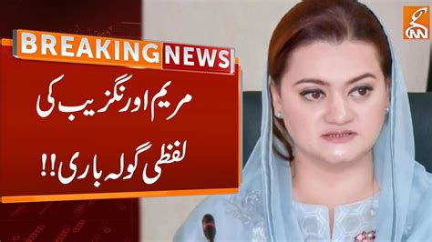 Watch Marriyum Aurangzeb Criticize On Senate Session BreakingNews GNN