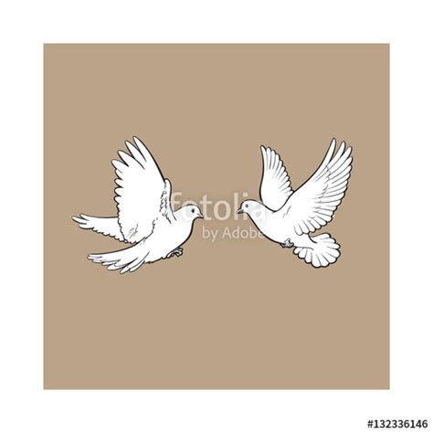 Dove In Flight Drawing at GetDrawings | Free download