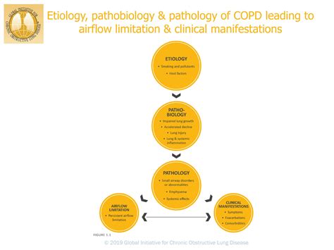 SOLUTION Copd Ppt Studypool