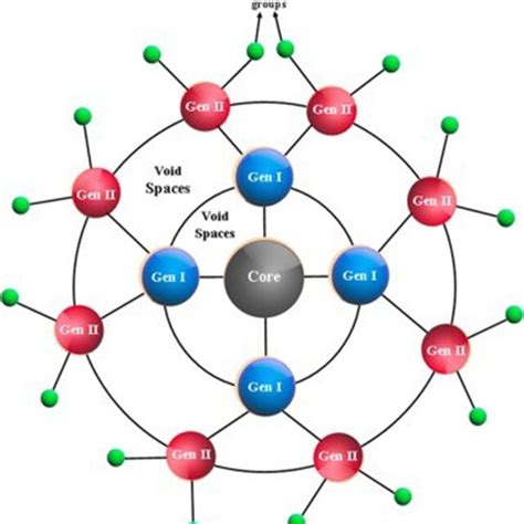 Schematic Representation Of Dendrimer Structure Adapted From Jain Et