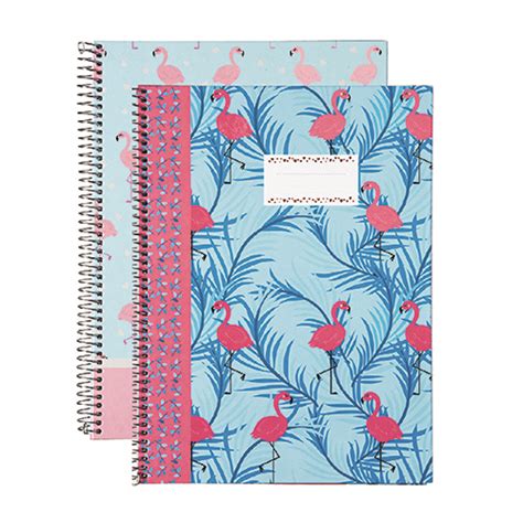 CADERNO ESPIRAL CAPA DURA A4 60 FOLHAS PAJORY ECOBIZ II PAUTADO Olmar