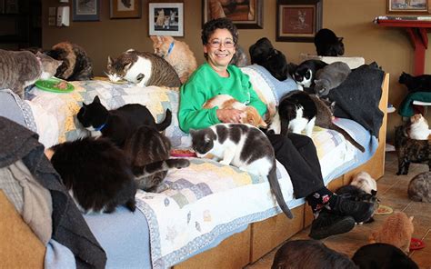ultimate cat lady woman shares home   rescue felines  pictures