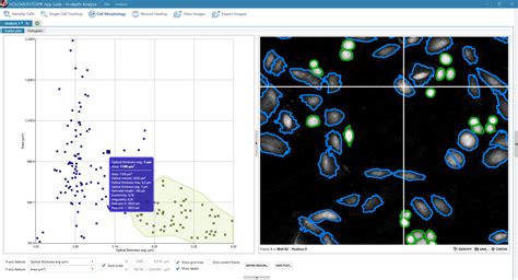 App Suite Cell Imaging Software - Cell Tracking & Analysis