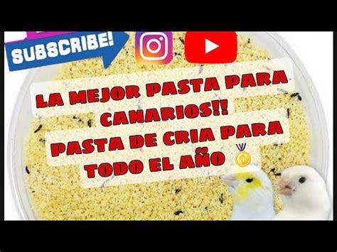 Pasta De Cria Para Todo El A O La Mejor Pasta Casera Para Tus