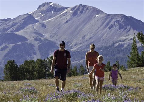 Mammoth Mountain Discount Lift Tickets & Passes | Liftopia