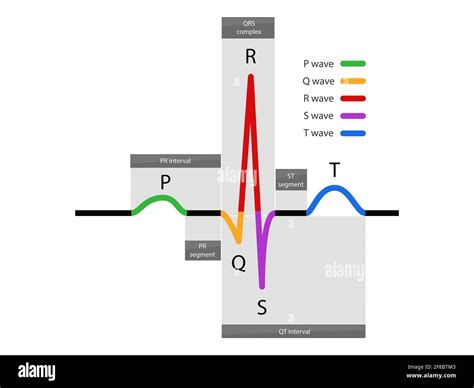 Electrocardiogram Atrial Cut Out Stock Images Pictures Alamy