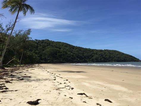 Exploring The Daintree And Cape Tribulation Artofit