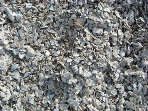 Oyster Shell Aggregate Materialdistrict