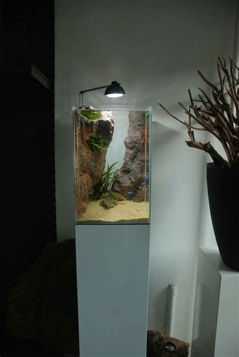 Vertical Aquascape Eheim Tank Aquascape Aquarium Fish Freshwater