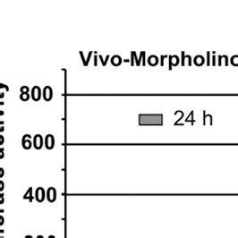 Structure of a Vivo-Morpholino. Shown are two 3′ end bases from a ...