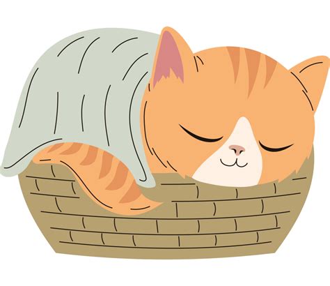 cat sleeping in basket 26418790 PNG