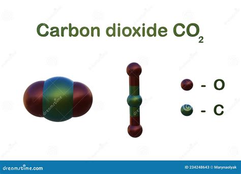 Structural Chemical Formula And Molecular Model Of Carbon Dioxide Carbon Anhydride A