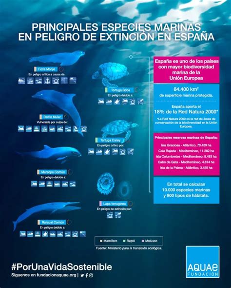 Principales especies marinas en peligro de extinción en España