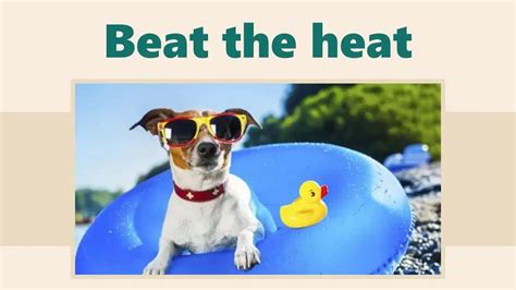 Beat the Heat meaning (Plus more Heat Idioms just for you) – World ...