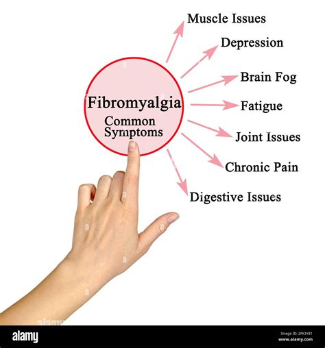 Seven Common Symptoms Of Fibromyalgia Stock Photo Alamy