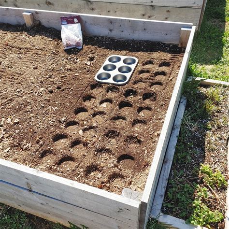 This Seed Spacing Hack Makes It Easy to Plant Your Garden