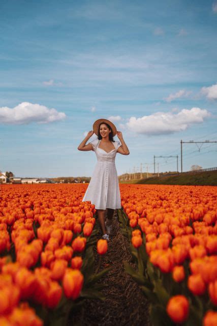 Lisse Netherlands Keukenhof Gardens Private Photoshoot GetYourGuide