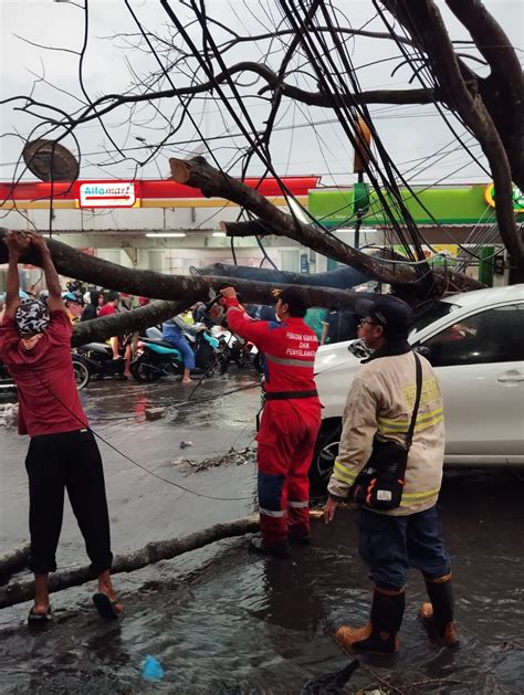 Kronologi Mobil Yang Sedang Melaju Ditiban Pohon Di Bandung