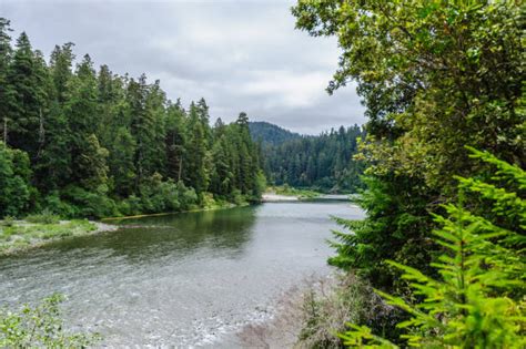 Jedediah Smith Redwoods State Park Stock Photos, Pictures & Royalty ...