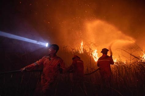 Titik Panas Karhutla Sumatra Tembus Titik Paling Banyak Sumsel