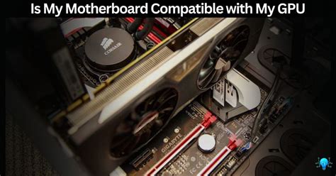 motherboard compatible   gpu find