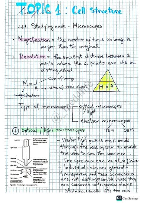 Caie As Level A Level Biology Cell Structure Notes Cambridge A