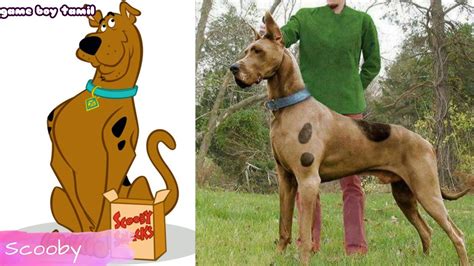 Scooby Doo Characters In Real Life Youtube