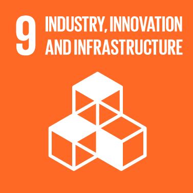 sustainable development goal  implications  actions  business