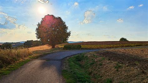 Planungen F R Das Radwegenetz Platte Gehen Weiter Mein Bl Ttche Online