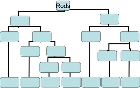 Rods Micro Diagram Diagram Quizlet