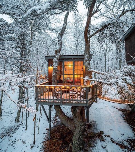 The tree-house cabin in Georgetown, Maine : r/CozyPlaces