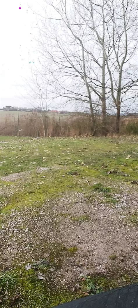 Odpoledne Onanovani V Puncoskach A Sandalkach Gay Amateur Porn Feat Holas 1964 XHamster