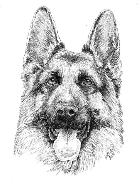 German Shepherd Puppy Coloring Pages Coloring Home