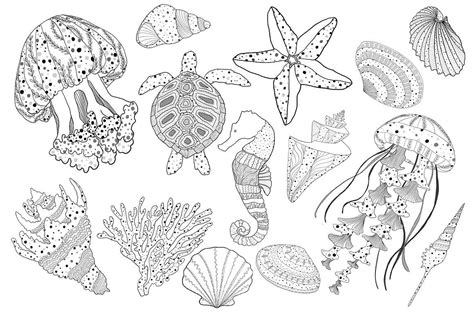 Sea Life Doodling Collection Sea Life Art Coral Drawing Line Art