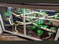 21 Diy snake enclosure ideas in 2023 | snake enclosure, reptile ...