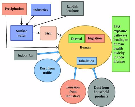 Poly And Perfluoroalkyl Substances Pfas Exposure Pathways And Their