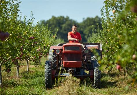 Мой гектар 2.0