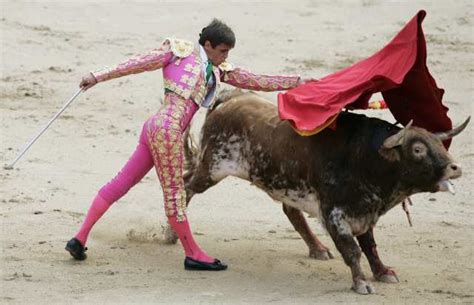 Bull Fighting: Bull Fighting Rules