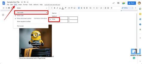 Google Docs Pageless Format How To Turn It On Features Pros And