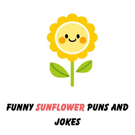 110 Funny Sunflower Puns And Jokes Sunshine Chuckles