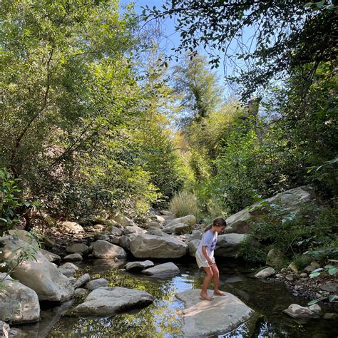 Best Camping In Los Padres National Forest The Dyrt