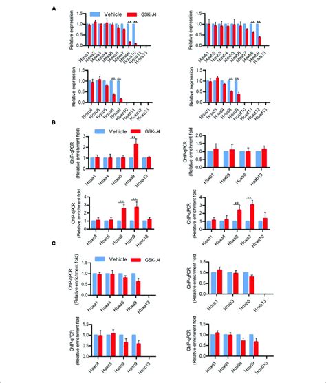 GSK J4 Inhibits Transcription Of Hox Genes By Blocking The H3K27me3